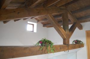 un soffitto in legno con due piante in vaso su un bancone di Apartamentos La Harinera a Torres de Albarracín
