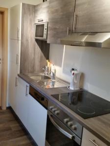 a kitchen with a sink and a counter top at Haus Nuhn in Bad Wildungen +16 photos