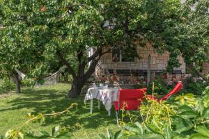 Zahrada ubytování Apartments Radica