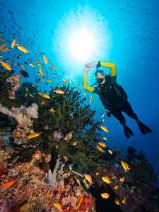 a person is swimming over a reef with fish at Tufi Resort in Tufi