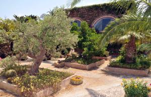 a garden with trees and plants in front of a building at Agriturismo Zinedi in Pantelleria