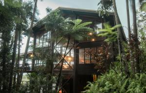 una casa en la selva con palmeras en The Barn Daintree Holiday House en Cow Bay