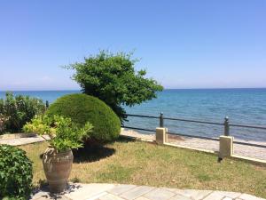 einen Garten mit Meerblick in der Unterkunft Aegean Blue in Platamonas