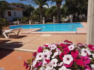 Galería fotográfica de Las Belisas en Arenal d'en Castell