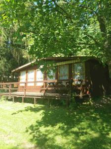 una cabaña a la sombra de un árbol en Domek Letniskowy Brożówka, en Kruklanki