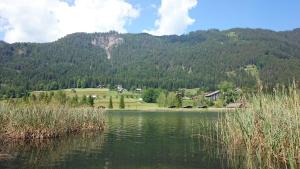 a view of a lake with a mountain in the background at Haus Alpina in Weissensee