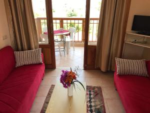 TV a/nebo společenská místnost v ubytování Nar Apart Hotel
