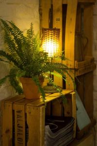 Fotografie z fotogalerie ubytování Hostal Alcántara v destinaci Avila