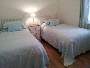康鎮的住宿－Ashford Villa，一间卧室配有两张床和床头灯。