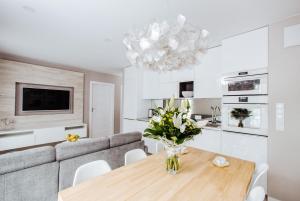 Kuchnia lub aneks kuchenny w obiekcie Apartment No. 1 - Vento Apartamenty