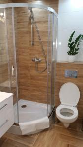 ein Badezimmer mit Dusche und Toilette in der Unterkunft Willa Ostoja in Rabka-Zdrój + 36 Fotos