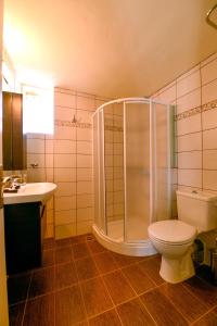 a bathroom with a shower and a toilet and a sink at Kimothoy in Armenistis