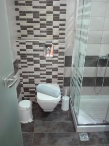 a bathroom with a toilet and a shower at Asterias Studios in Astris