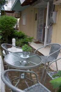 uma mesa de vidro e cadeiras com uma planta em Filia Apartments em Olympiakí Aktí