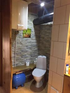 La salle de bains est pourvue de toilettes blanches et d'un mur en pierre. dans l'établissement Ala-Laugu Holiday Home, à Leisi
