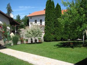 un cortile con una casa e alcuni cespugli e alberi di Apartment Ilija a Rakovica