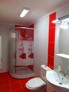 a bathroom with a shower and a toilet and a sink at Casa Albert in Constanţa