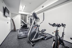 Fitness centrum a/nebo fitness zařízení v ubytování Theresian Hotel