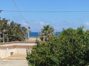 einen Strand mit einer Palme und dem Meer in der Unterkunft Residence Le Isole in Marsala