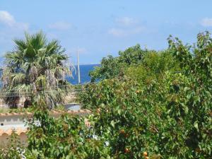 a tree with oranges in front of a building at Residence Le Isole in Marsala