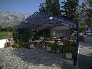 Gallery image of Hotel Sofia in Marathokampos