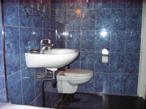 uma casa de banho em azulejos azuis com um lavatório e um WC em Jordaan Canal View Apartment em Amesterdão