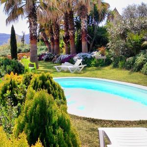 a swimming pool in a yard with palm trees at L' Escala Resort in L'Escala