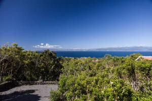 a view of the ocean from a hill with trees at Casas do Caminho Novo in São Roque do Pico +18 photos