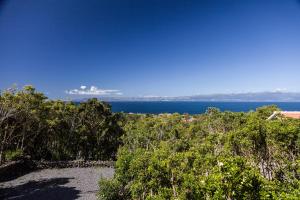 a view of the ocean from a hill with trees at Vila Verde in São Roque do Pico