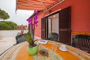 a table with a vase with purple flowers on it at Apartments Roko in Rovinj