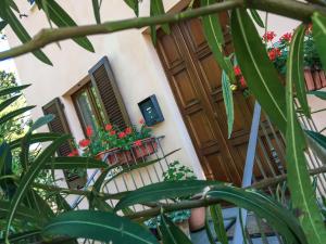 Zahrada ubytování B&B Villa Sophie