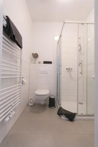 a bathroom with a toilet and a glass shower at Zimmervermietung Reichert in Lage