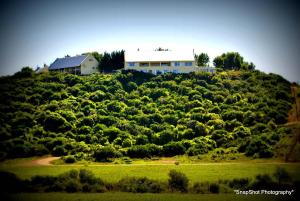 a house on top of a hill with trees at Kududu Guest House in Addo