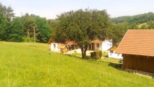 una pequeña casa en un campo junto a un árbol en Pagony Pihenő Farm, en Orfalu