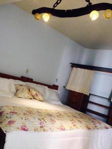 um quarto com uma cama e luzes no tecto em Fazenda Mantiqueira e Restaurante em Camanducaia