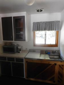 a kitchen with a sink and a microwave at The Tamarack Lodge in Lakeshore
