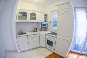 Кухня или мини-кухня в Apartment Picobello

