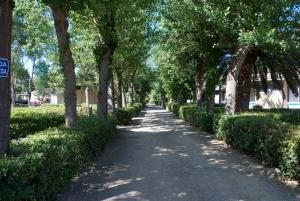 Zahrada ubytování Residence Hotel Baia del Sole