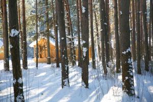 una cabaña en el bosque en la nieve en Knyazhya Rechka, en Tver