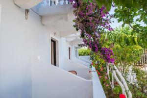 Κήπος έξω από το Dina Studios 