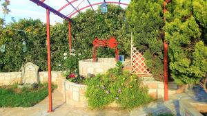 A garden outside Jacuzzi Pool House AMA5690