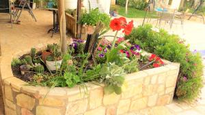 A garden outside Jacuzzi Pool House AMA5690