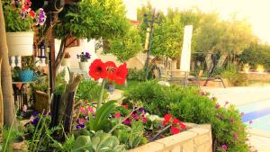 A garden outside Jacuzzi Pool House AMA5690