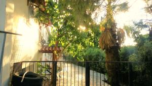 A garden outside Jacuzzi Pool House AMA5690