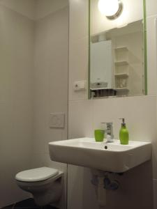y baño con lavabo, aseo y espejo. en Apartment Vltavska B en Praga