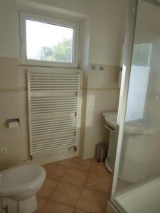 a bathroom with a toilet and a sink and a window at Ferienhaus Rücker in Fehmarn +30 photos