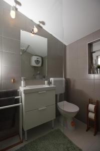 La salle de bains est pourvue d'un lavabo, de toilettes et d'un miroir. dans l'établissement Apartment Smokva ****, à Podgreben