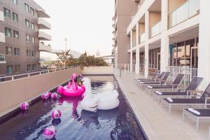 una piscina con cisnes rosas y blancos en un edificio en Sage Hotel Wollongong, en Wollongong