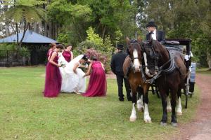 Gallery image of McCarthy Lake House in Maleny