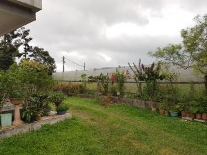 Gallery image of Ganoun Homestay in Meinong